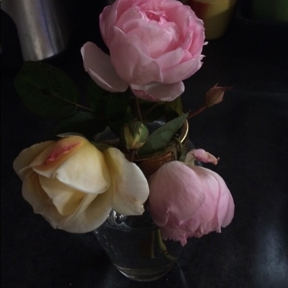 Meet your Posher, Tina